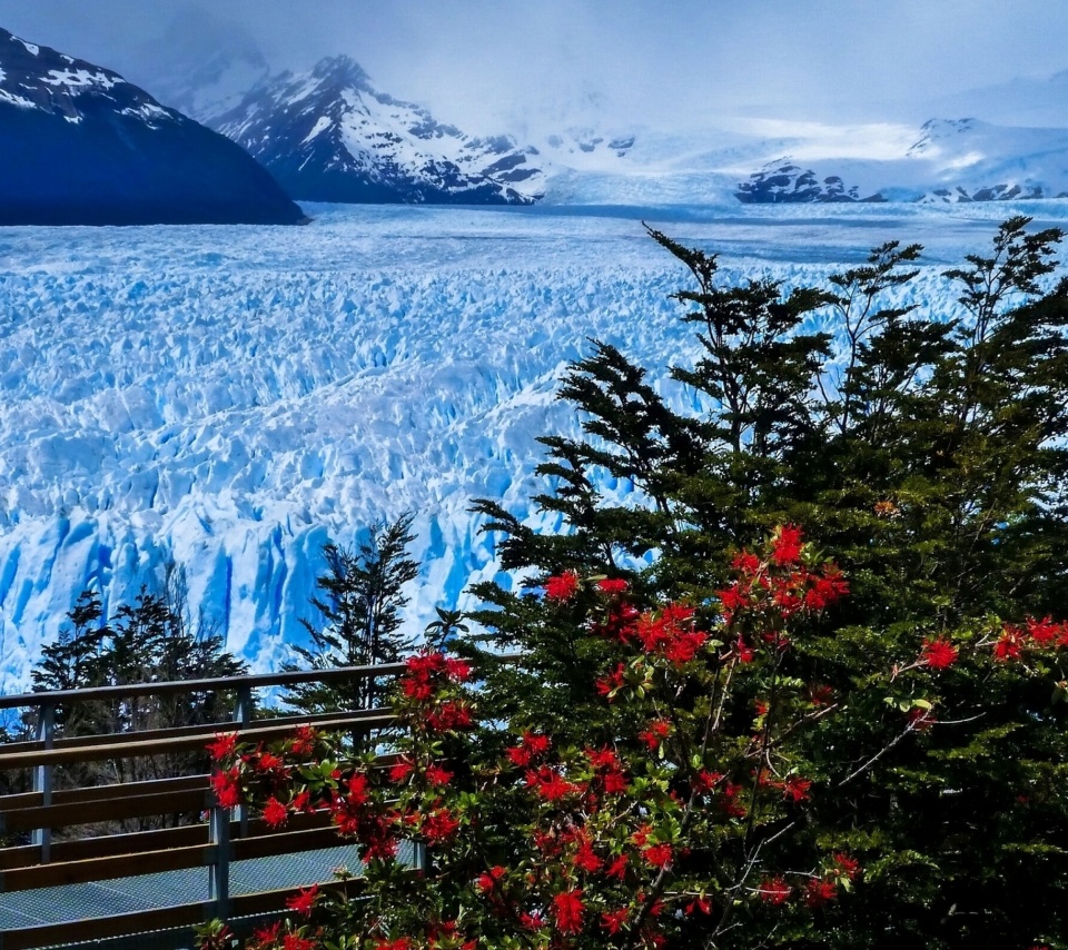 Fondo de pantalla Perito Moreno Glacier 960x854