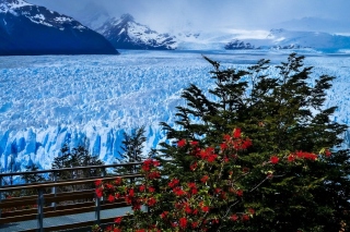 Perito Moreno Glacier Picture for Android, iPhone and iPad