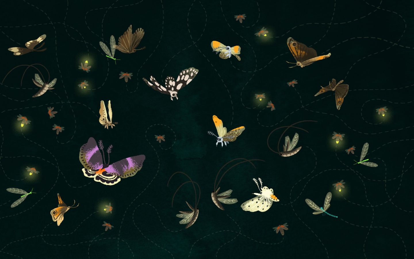 Fondo de pantalla Butterflies 1440x900