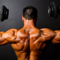 Athlete With Dumbbells In Gym wallpaper 208x208