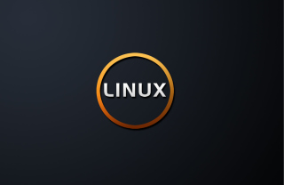 Linux OS Black - Obrázkek zdarma pro Nokia X2-01