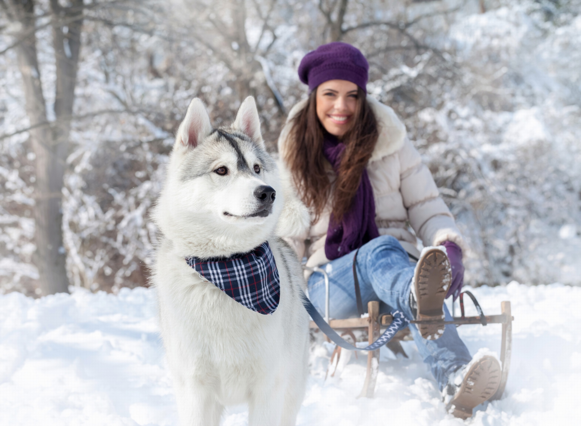 Husky And Girl screenshot #1 1920x1408