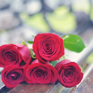 Kostenloses Red Roses Bouquet On Bench Wallpaper für iPad mini 2