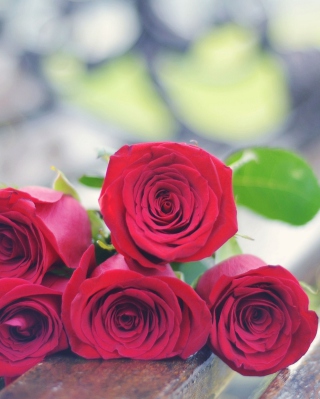 Red Roses Bouquet On Bench sfondi gratuiti per 640x1136