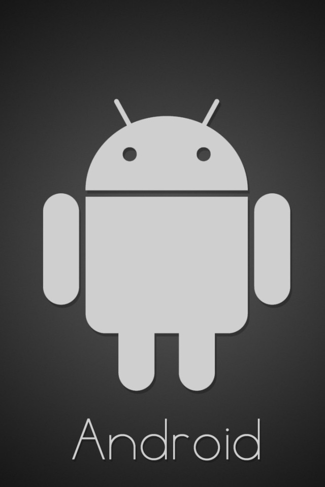 Android Google Logo wallpaper 640x960