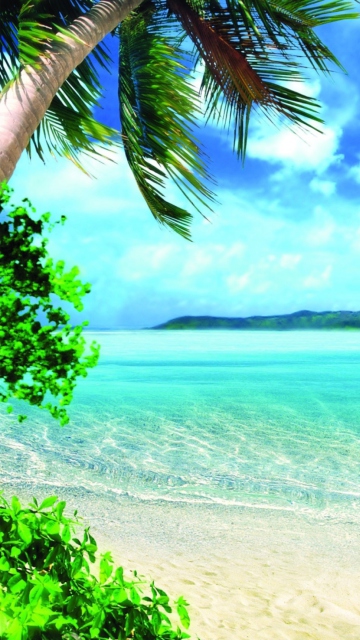 Summer Vacation wallpaper 360x640