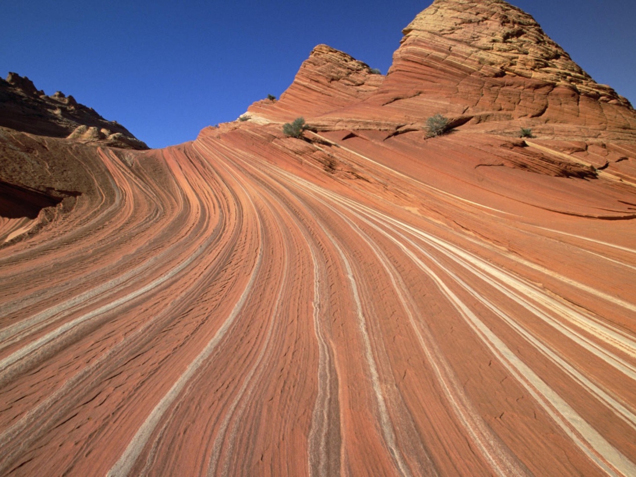 Das Colorado Canyons Wallpaper 1280x960