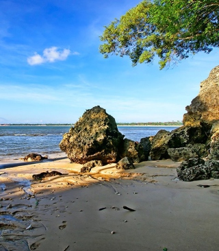 Sea Beach - Obrázkek zdarma pro iPhone 6 Plus