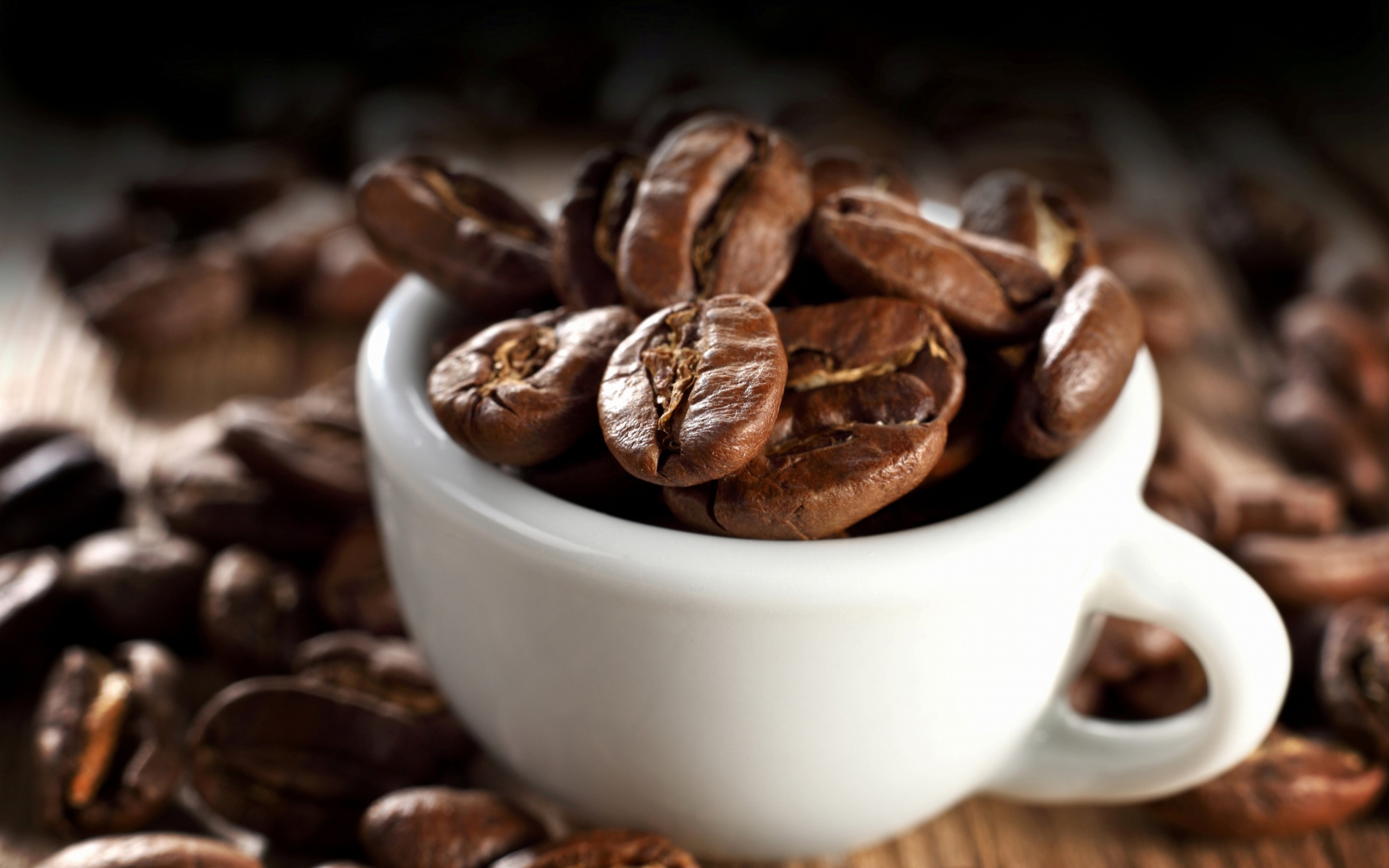 Обои Arabica Coffee Beans 2560x1600