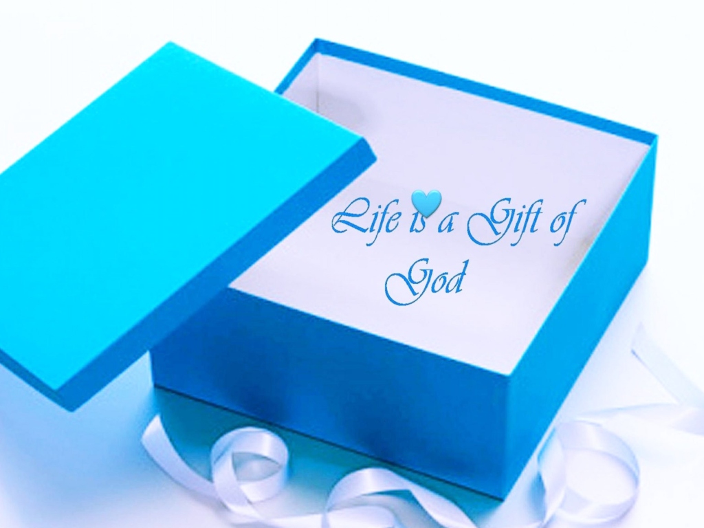 Fondo de pantalla Life Is Gift Of God 1024x768