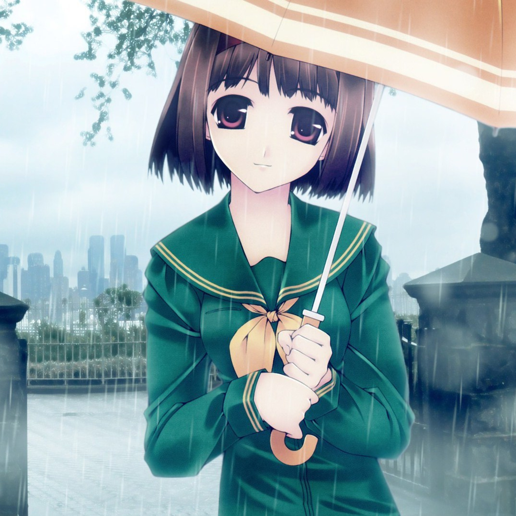 Обои Anime girl in rain 2048x2048