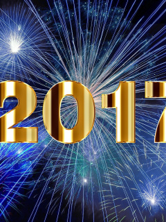 Обои 2017 New Year Holiday fireworks 240x320