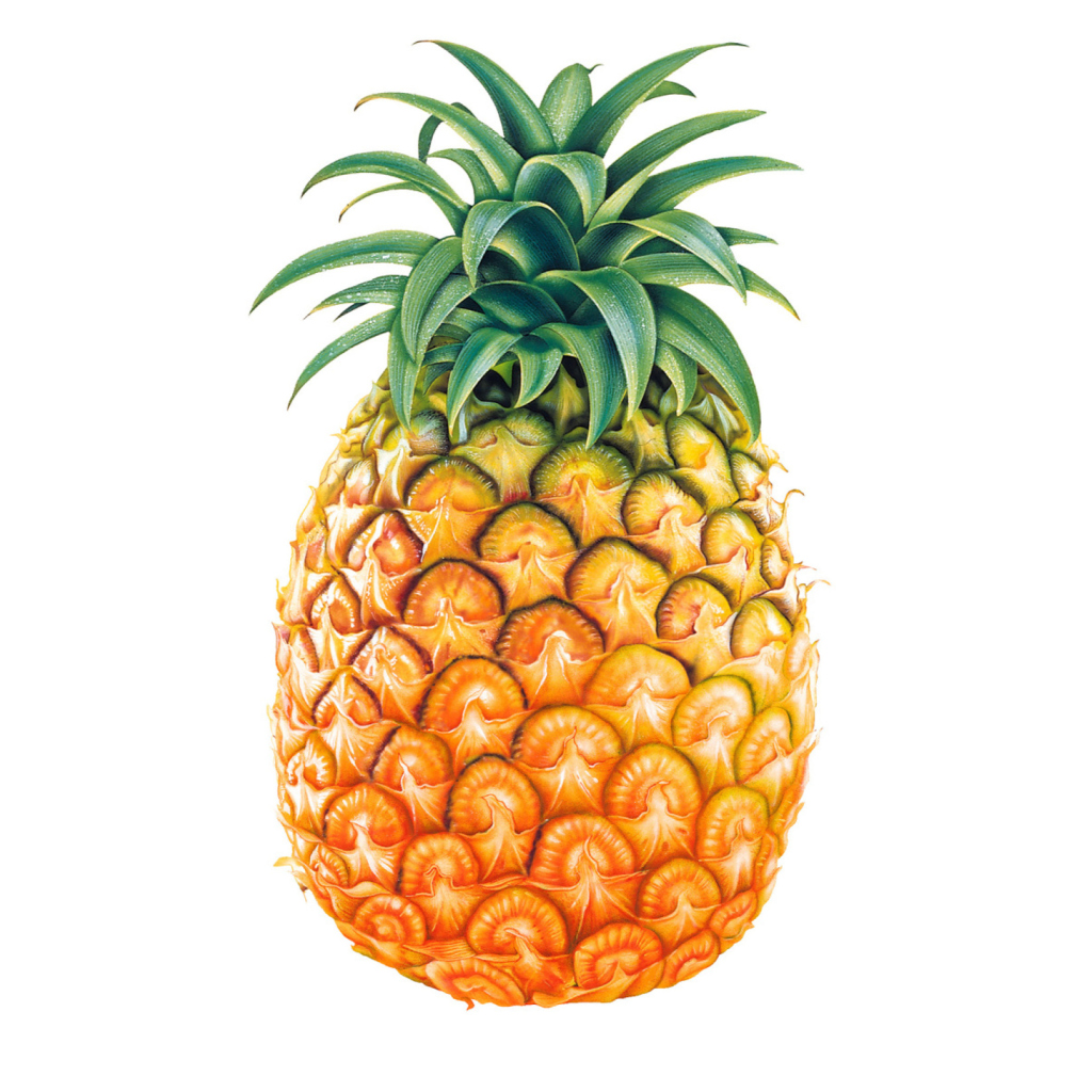 Sfondi Pineapple 1024x1024