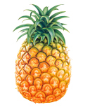 Das Pineapple Wallpaper 128x160