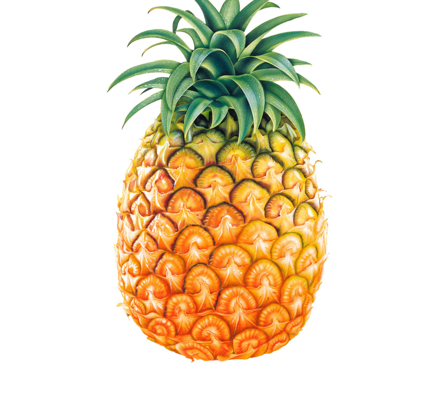 Обои Pineapple 1440x1280