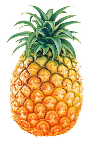 Das Pineapple Wallpaper 320x480