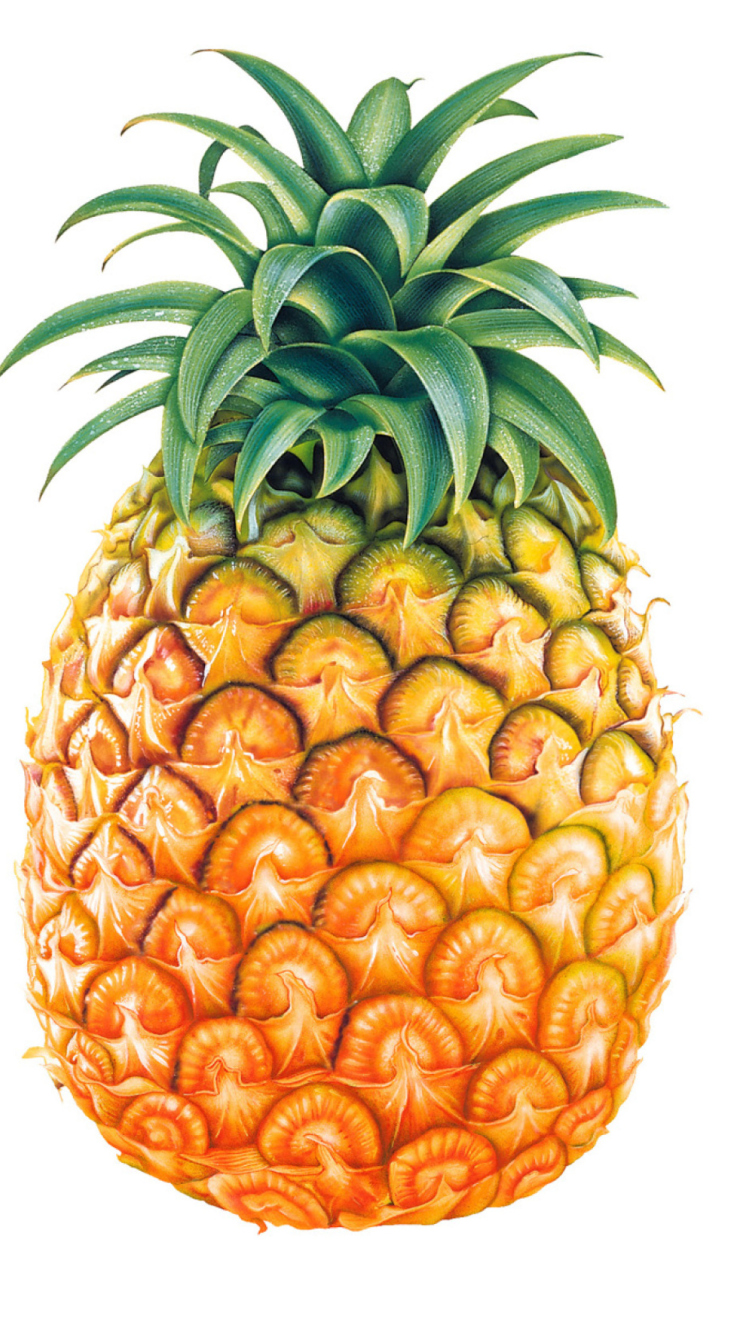 Pineapple wallpaper 750x1334