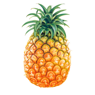 Pineapple Wallpaper for 1024x1024