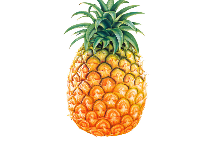 Screenshot №1 pro téma Pineapple