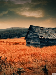 Das Lonely Countryside Wallpaper 240x320