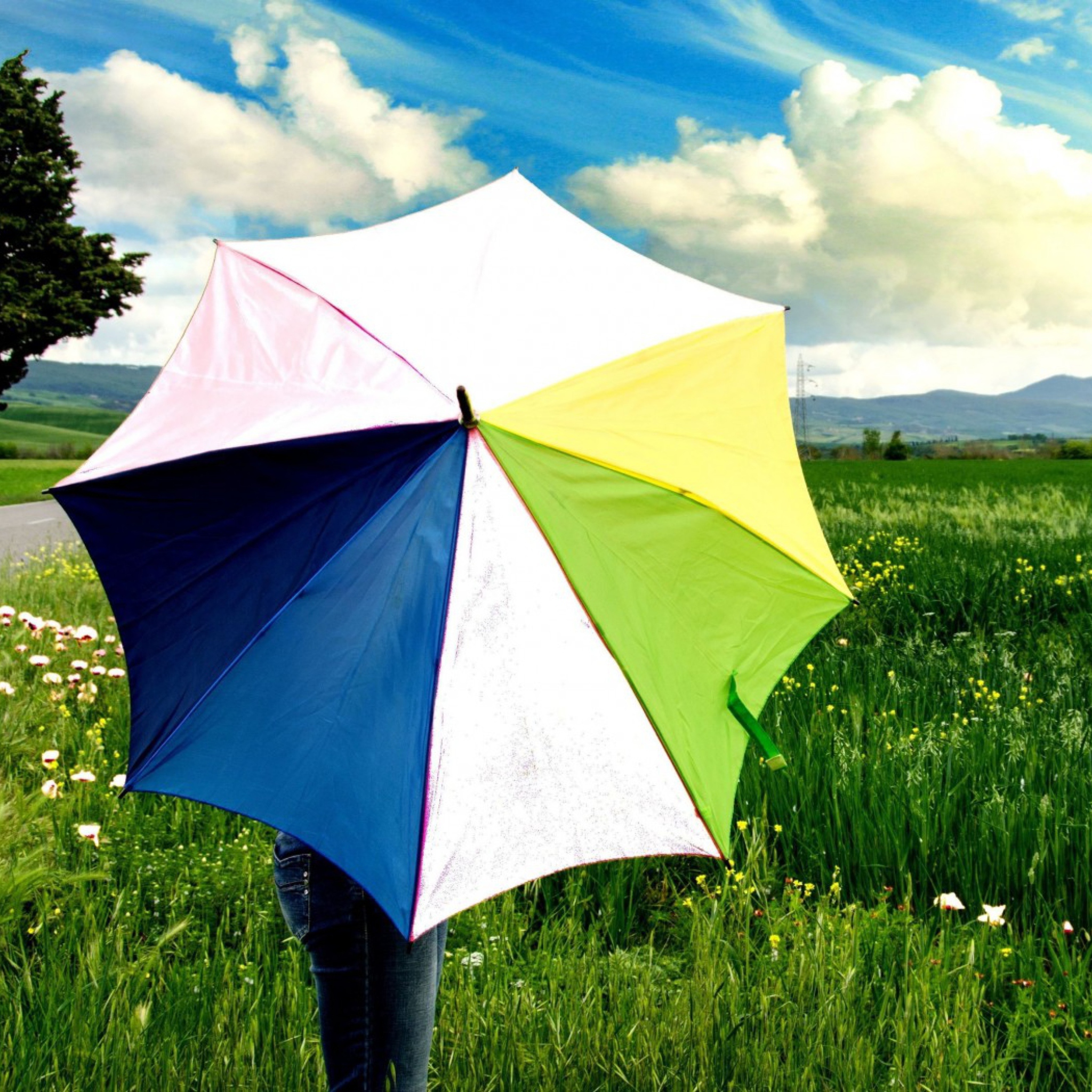 Fondo de pantalla Colorful Umbrella 2048x2048