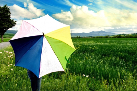 Fondo de pantalla Colorful Umbrella 480x320