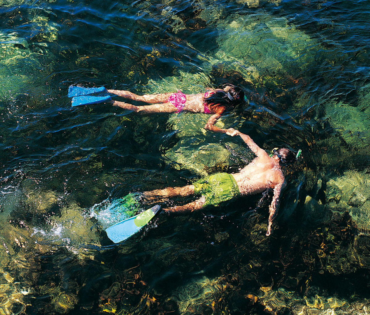 Fondo de pantalla Couple Swimming In Caribbean 1200x1024