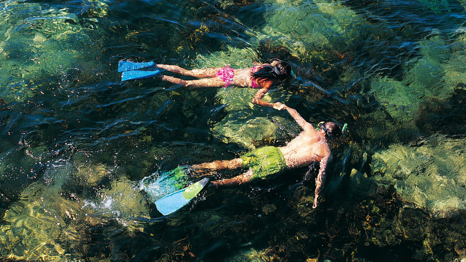 Das Couple Swimming In Caribbean Wallpaper 1600x900
