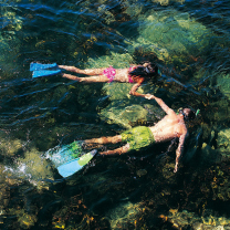 Fondo de pantalla Couple Swimming In Caribbean 208x208