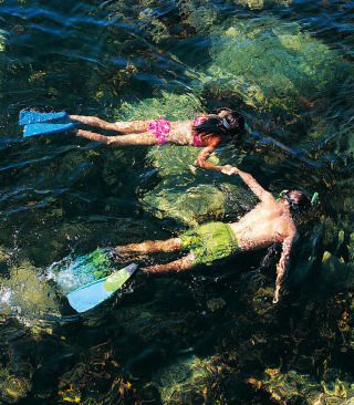 Couple Swimming In Caribbean sfondi gratuiti per Nokia Asha 300