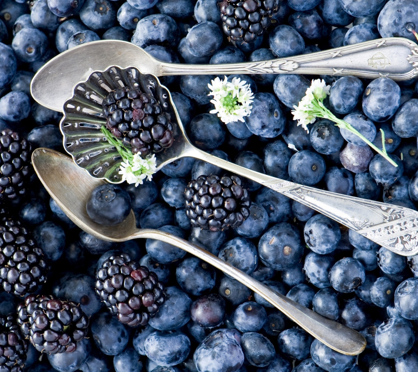 Sfondi Blackberries & Blueberries 1440x1280