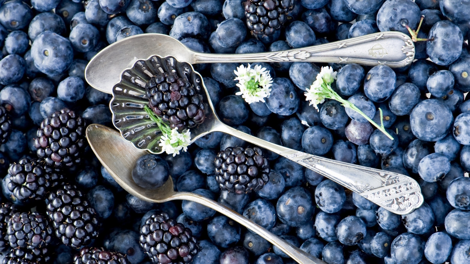 Screenshot №1 pro téma Blackberries & Blueberries 1600x900