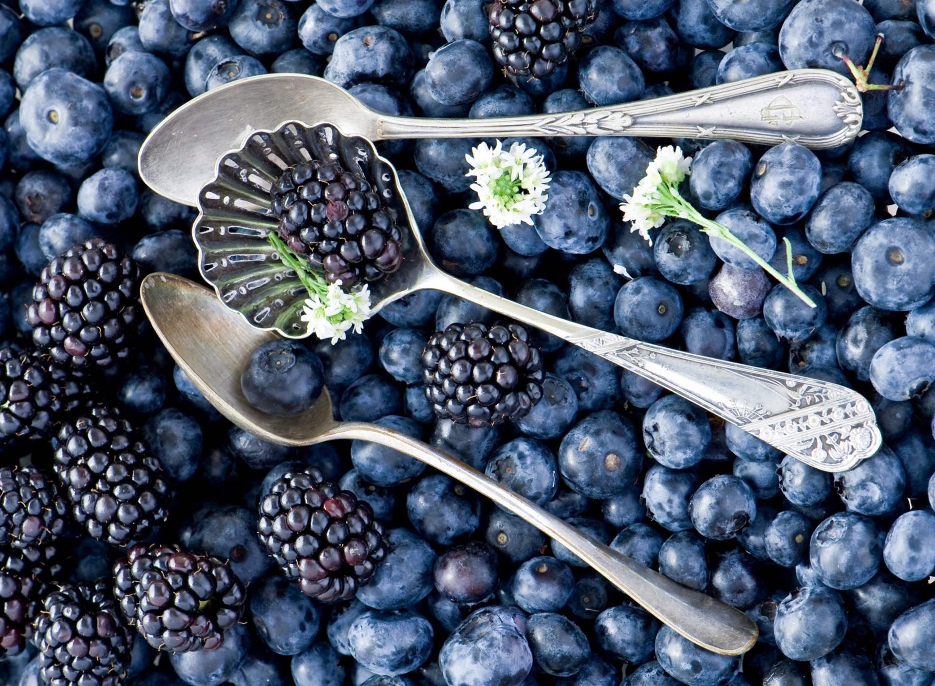 Sfondi Blackberries & Blueberries 1920x1408