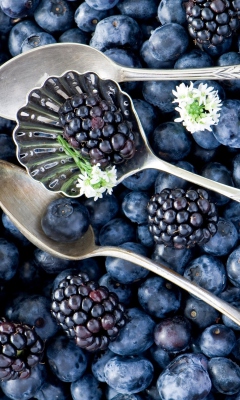 Das Blackberries & Blueberries Wallpaper 240x400