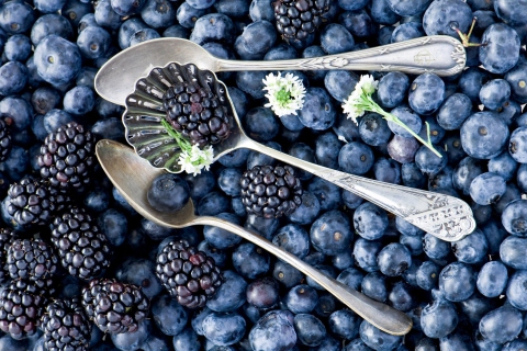 Sfondi Blackberries & Blueberries 480x320