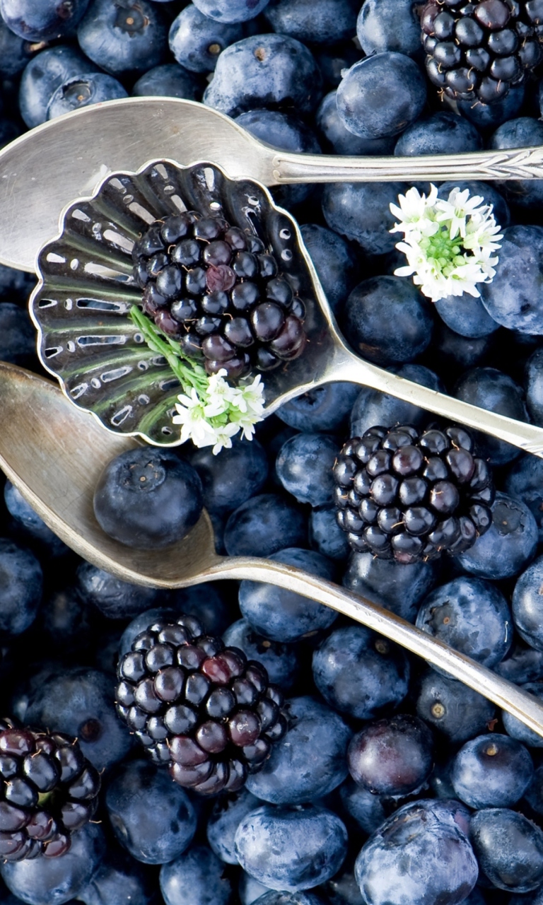 Blackberries & Blueberries wallpaper 768x1280