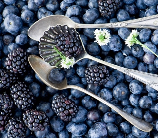 Kostenloses Blackberries & Blueberries Wallpaper für 2048x2048
