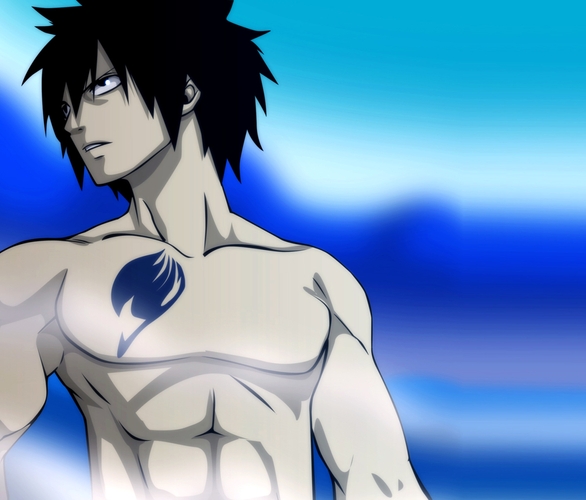 Das Fairy Tail - Gray Fullbuster Wallpaper 1200x1024