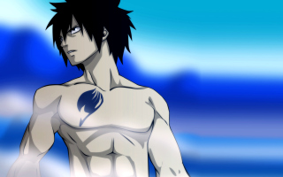 Fairy Tail - Gray Fullbuster - Obrázkek zdarma pro HTC Desire