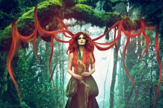 Forest Fairy Background for Android, iPhone and iPad