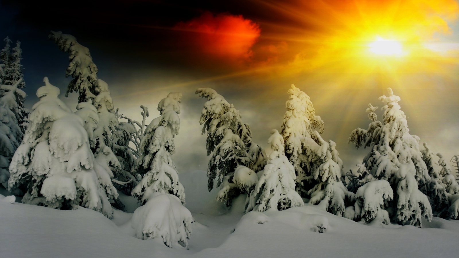 Screenshot №1 pro téma Winter Shine 1600x900