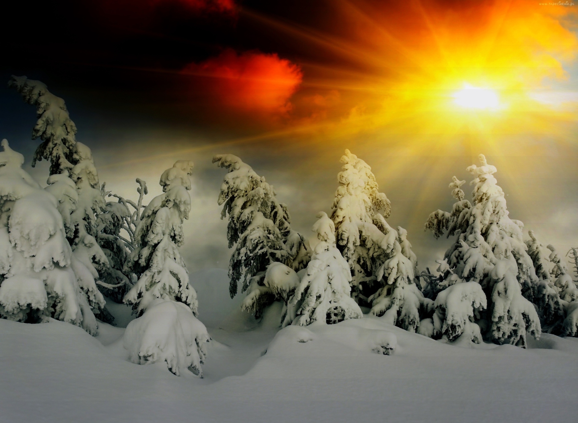 Winter Shine screenshot #1 1920x1408
