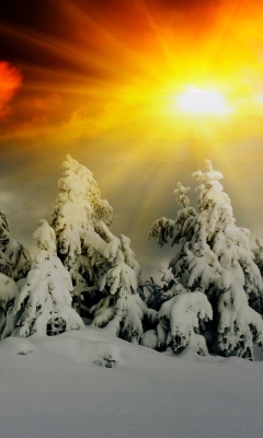 Winter Shine screenshot #1 240x400