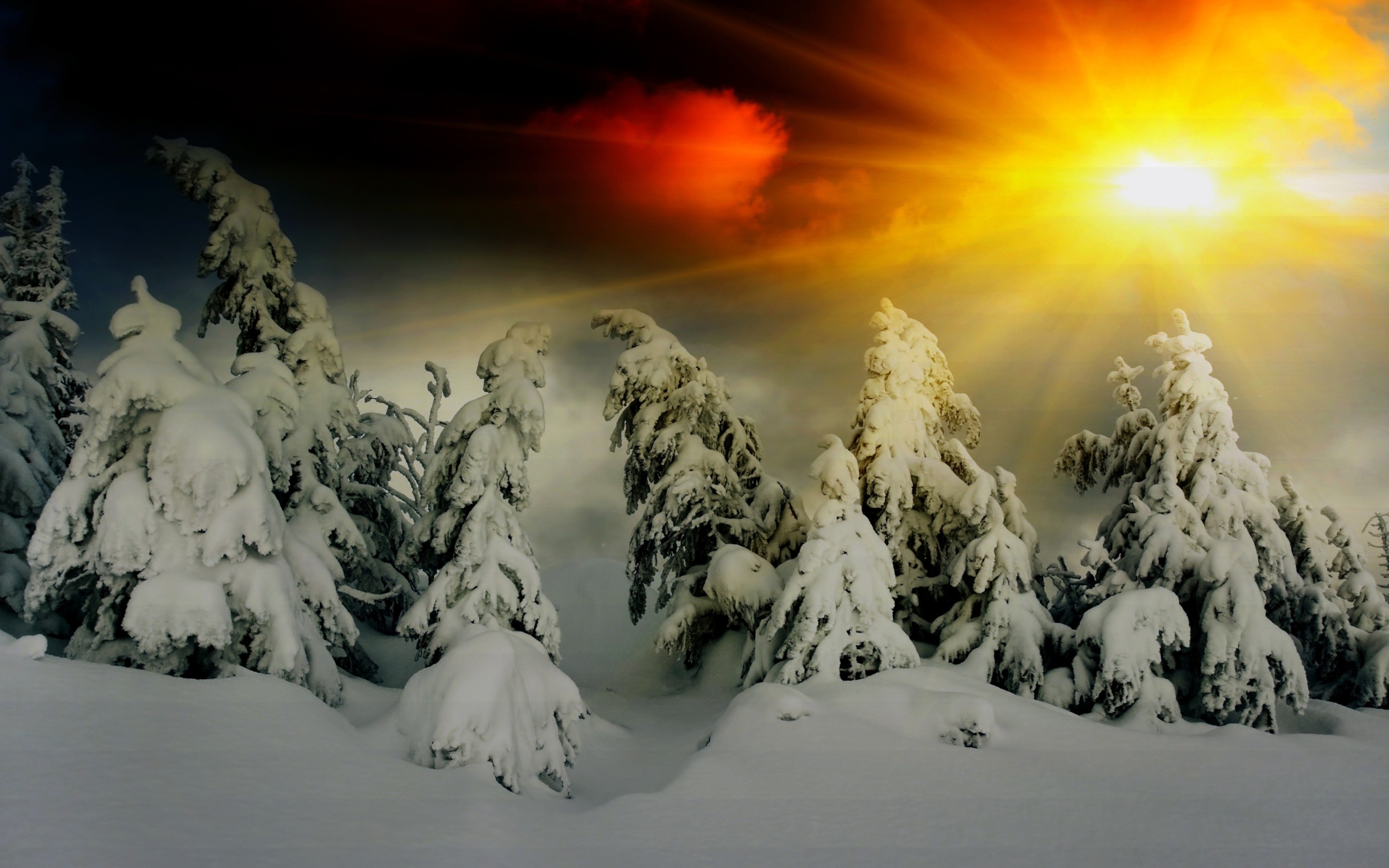 Screenshot №1 pro téma Winter Shine 2560x1600