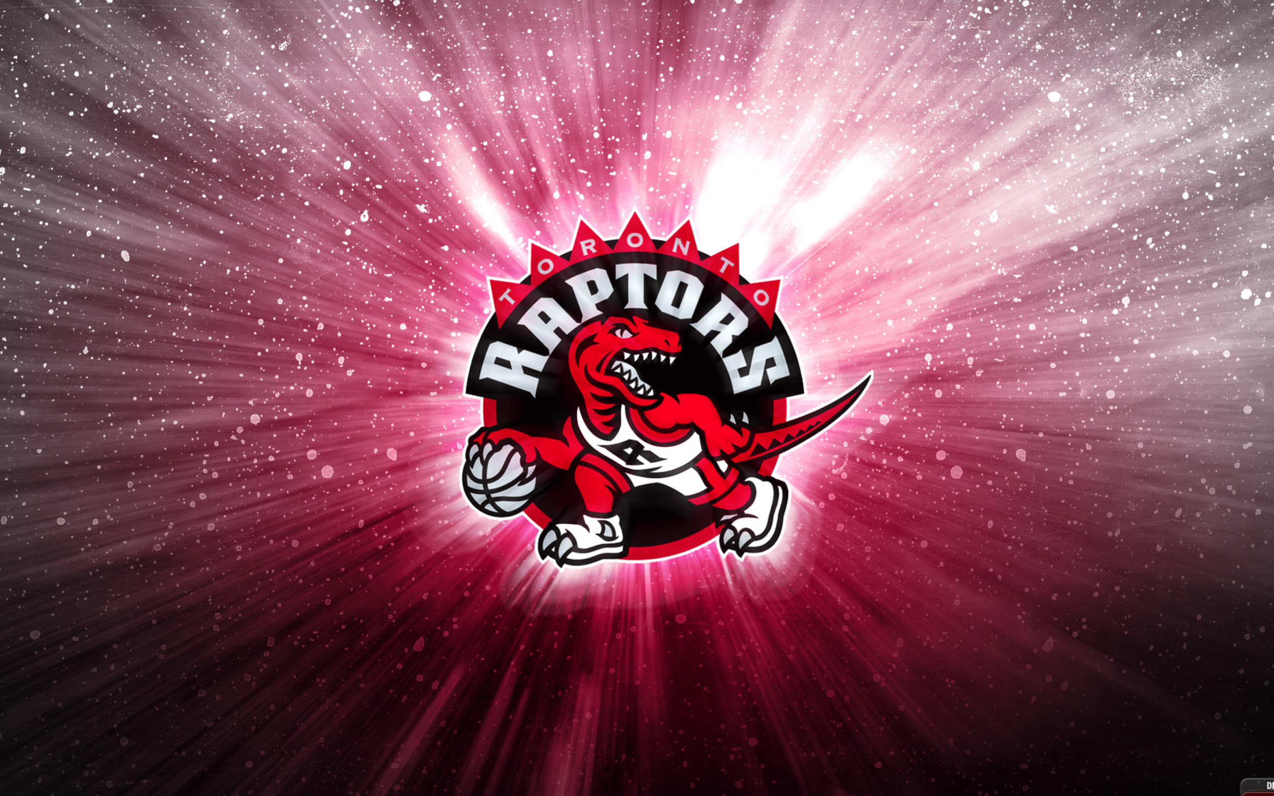 Fondo de pantalla Toronto Raptors NBA 2560x1600