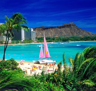 Waikiki Oahu Hawaii - Obrázkek zdarma pro 208x208