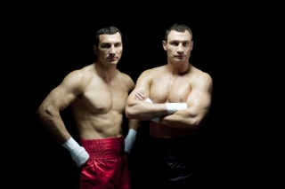 Klitschko brothers Wladimir and Vitali - Fondos de pantalla gratis para 480x320