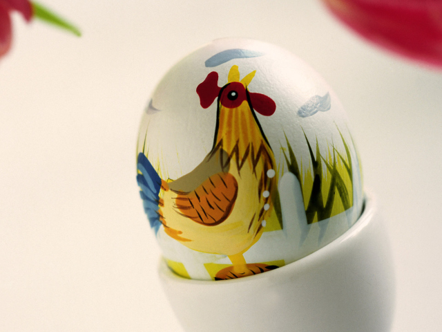 Easter Egg With A Beautiful Motif wallpaper 640x480