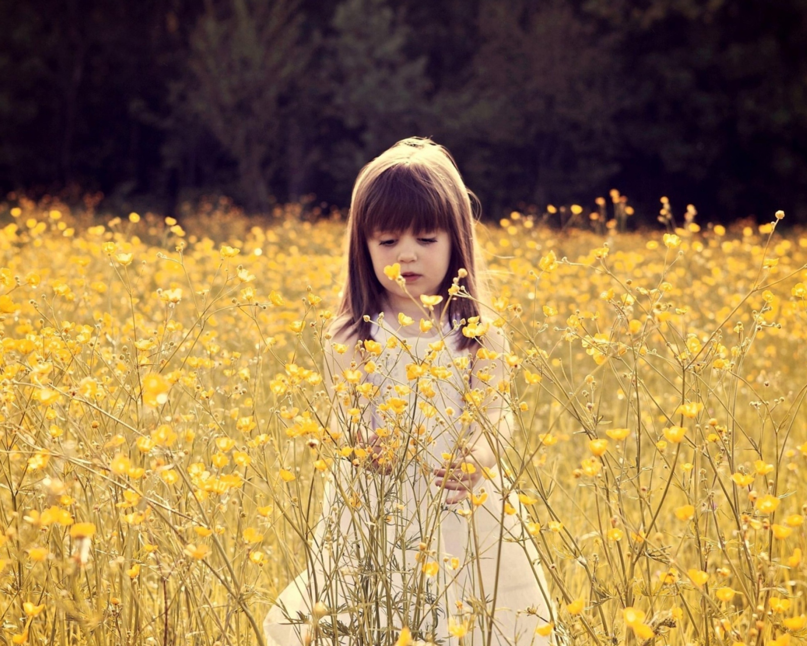 Cute Little Girl In Flower Field wallpaper 1600x1280