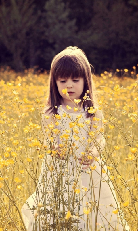 Cute Little Girl In Flower Field screenshot #1 480x800